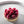 Load image into Gallery viewer, Raspberry Tart
